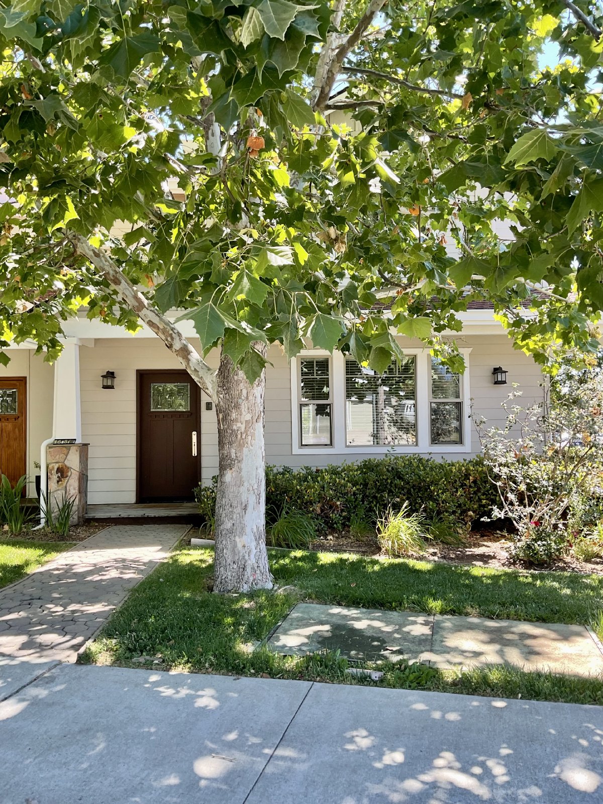 168 Wedgewood Ave