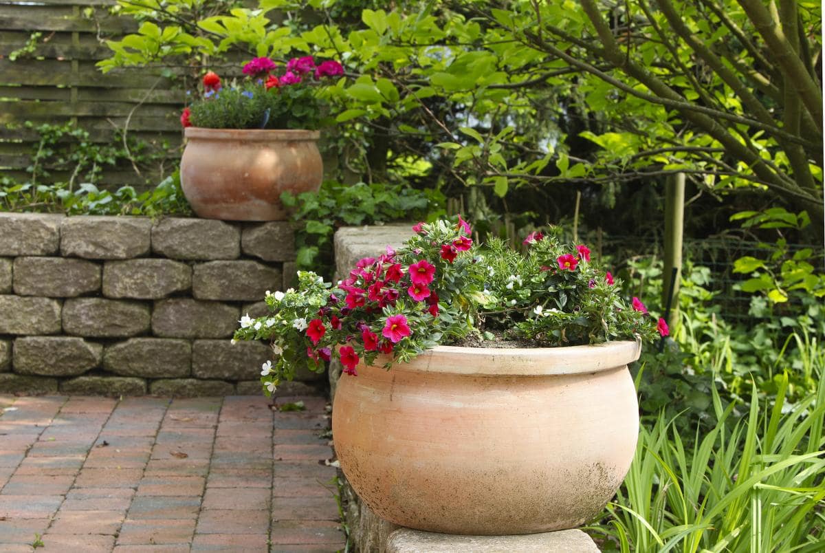 Los Gatos Property Management
